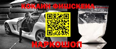 гашик Славгород