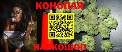 гашик Славгород