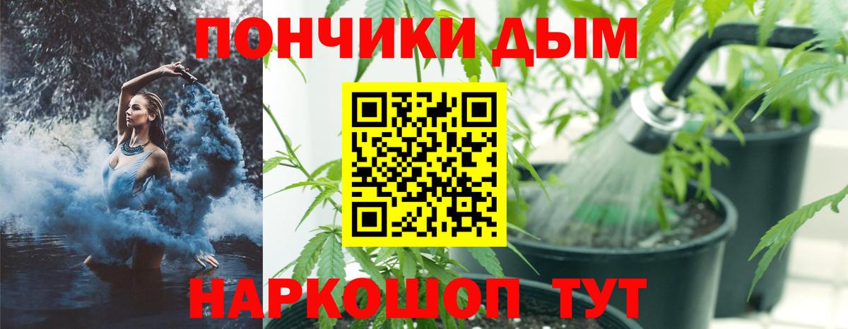 Каннабис OG Kush Краснотурьинск